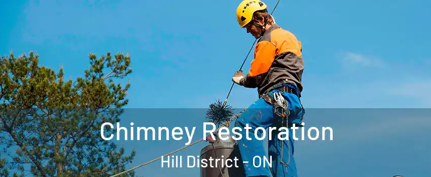  Chimney Restoration Hill District - ON