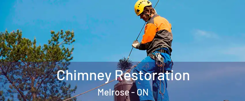  Chimney Restoration Melrose - ON