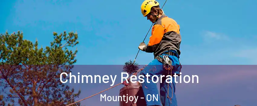  Chimney Restoration Mountjoy - ON