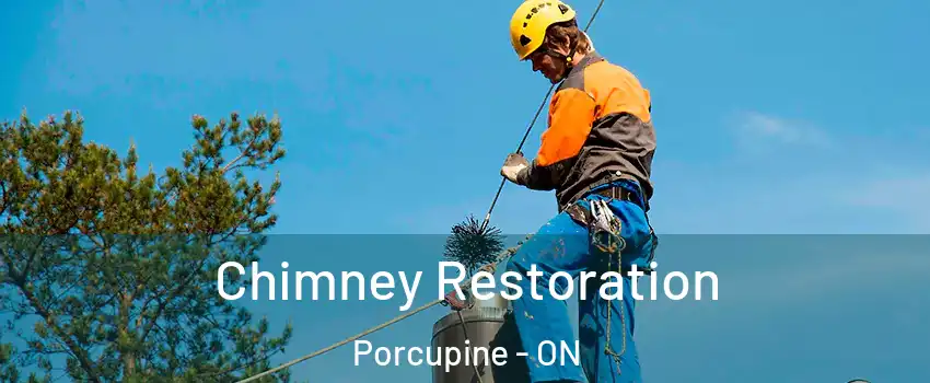  Chimney Restoration Porcupine - ON