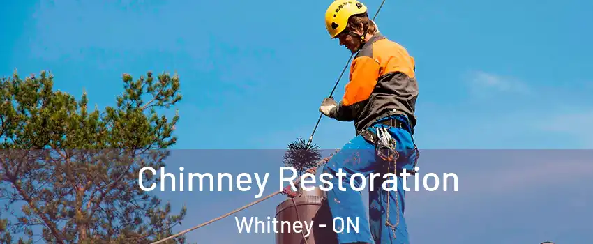  Chimney Restoration Whitney - ON