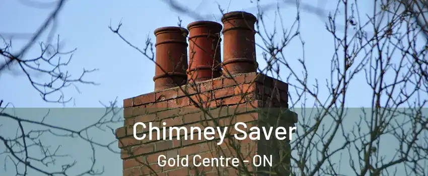  Chimney Saver Gold Centre - ON