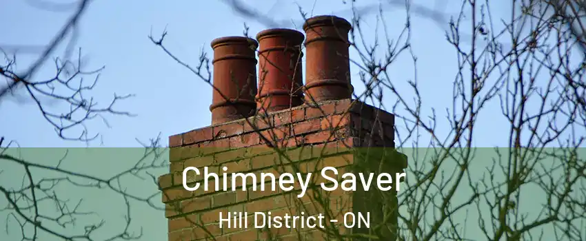  Chimney Saver Hill District - ON