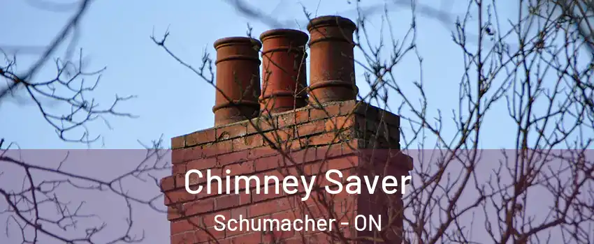  Chimney Saver Schumacher - ON