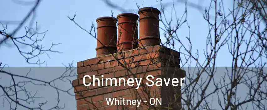  Chimney Saver Whitney - ON