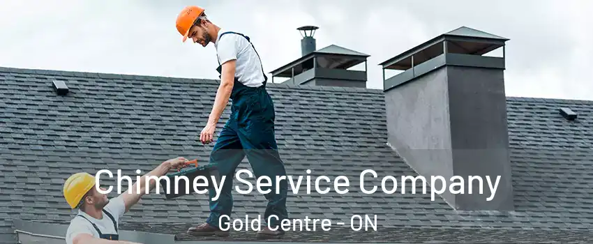  Chimney Service Company Gold Centre - ON
