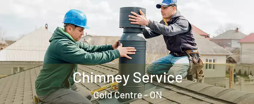  Chimney Service Gold Centre - ON