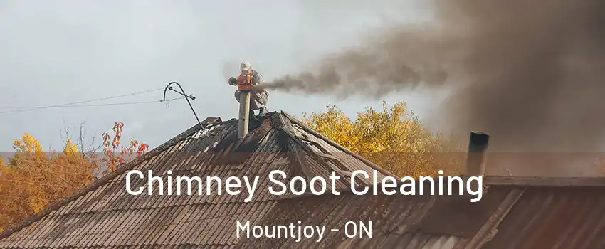  Chimney Soot Cleaning Mountjoy - ON