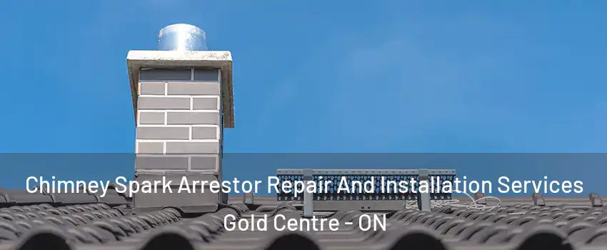  Chimney Spark Arrestor Repair And Installation Services Gold Centre - ON