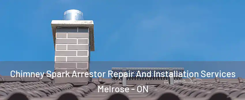  Chimney Spark Arrestor Repair And Installation Services Melrose - ON