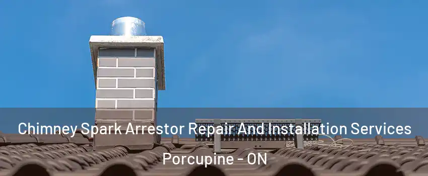  Chimney Spark Arrestor Repair And Installation Services Porcupine - ON