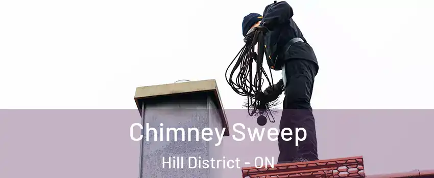  Chimney Sweep Hill District - ON