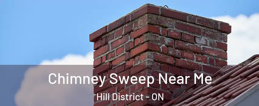  Chimney Sweep Near Me Hill District - ON