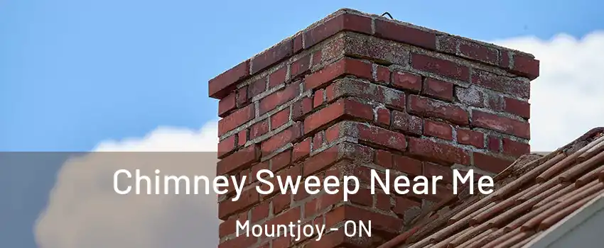  Chimney Sweep Near Me Mountjoy - ON