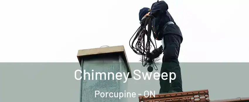  Chimney Sweep Porcupine - ON