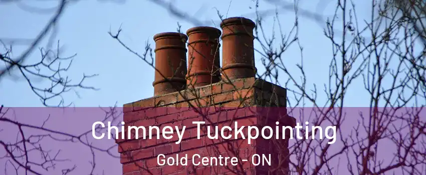  Chimney Tuckpointing Gold Centre - ON