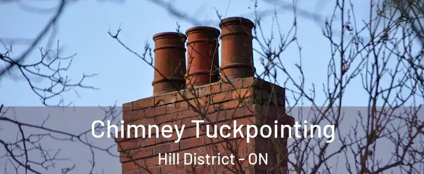  Chimney Tuckpointing Hill District - ON