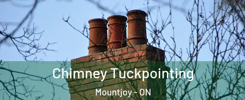  Chimney Tuckpointing Mountjoy - ON