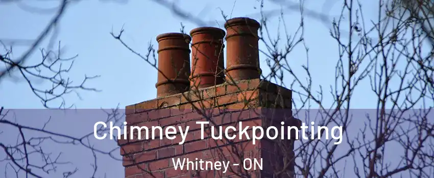  Chimney Tuckpointing Whitney - ON