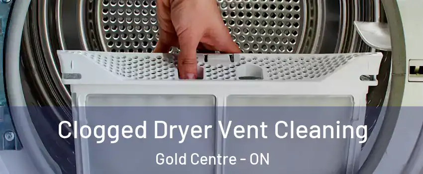  Clogged Dryer Vent Cleaning Gold Centre - ON