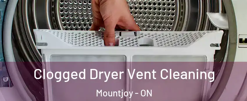  Clogged Dryer Vent Cleaning Mountjoy - ON