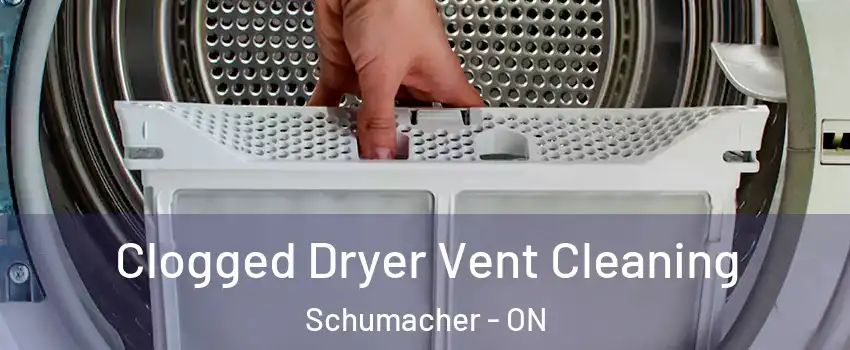  Clogged Dryer Vent Cleaning Schumacher - ON