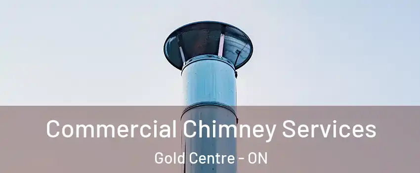  Commercial Chimney Services Gold Centre - ON
