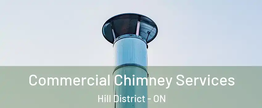  Commercial Chimney Services Hill District - ON