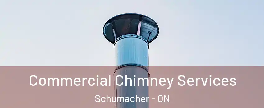  Commercial Chimney Services Schumacher - ON