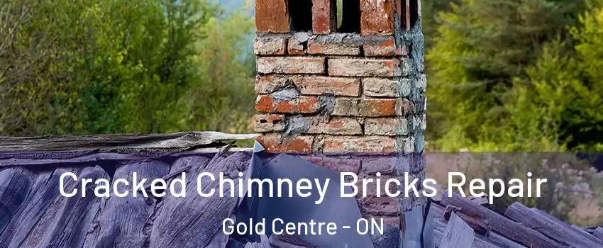  Cracked Chimney Bricks Repair Gold Centre - ON