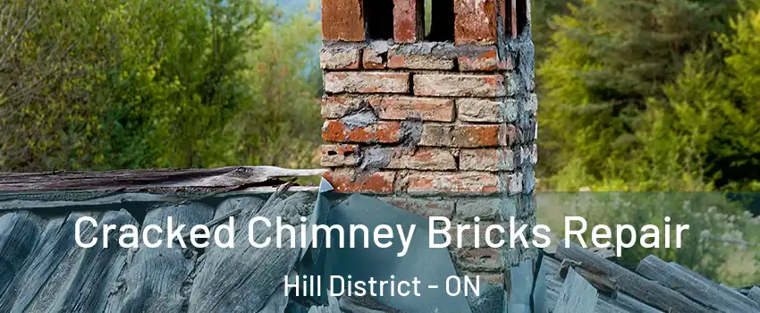  Cracked Chimney Bricks Repair Hill District - ON