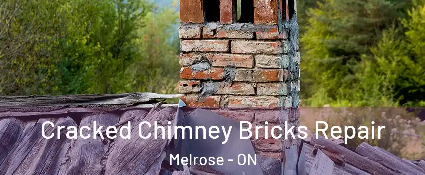  Cracked Chimney Bricks Repair Melrose - ON