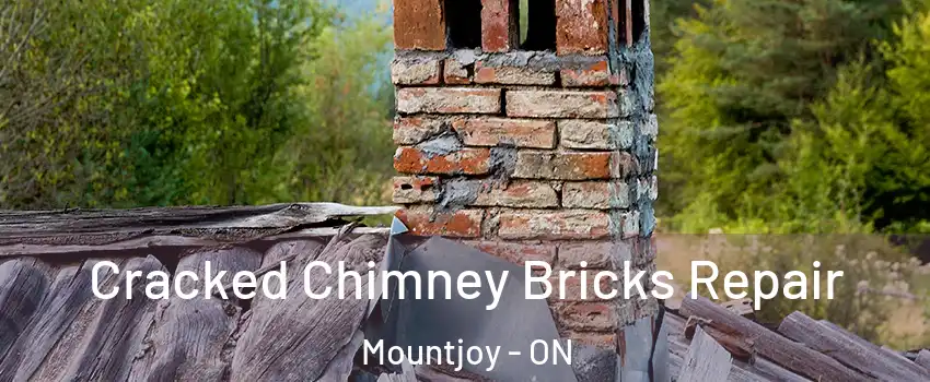  Cracked Chimney Bricks Repair Mountjoy - ON