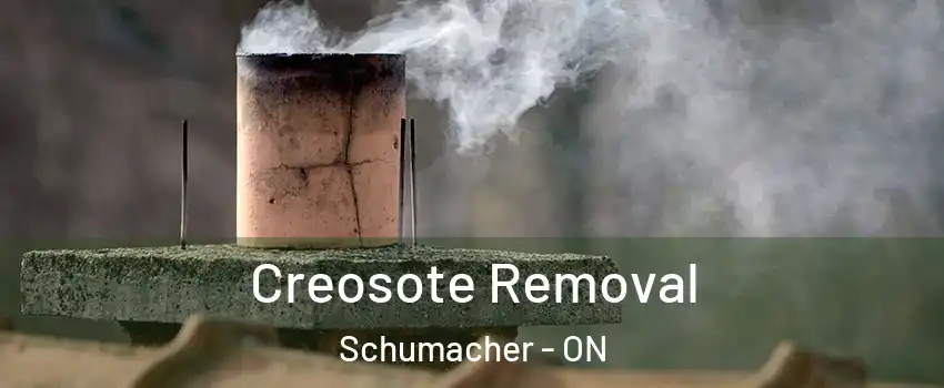  Creosote Removal Schumacher - ON