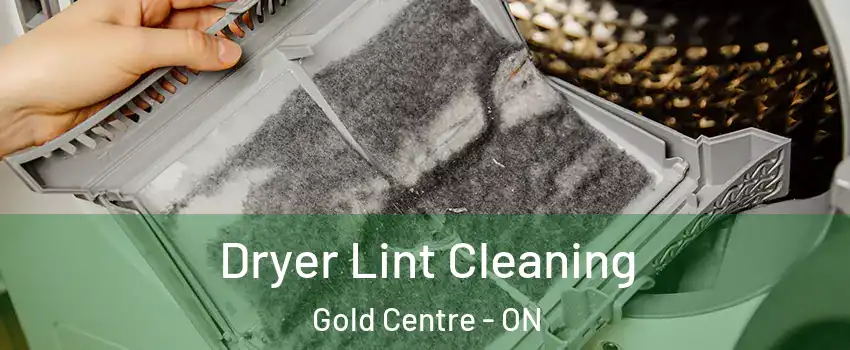  Dryer Lint Cleaning Gold Centre - ON