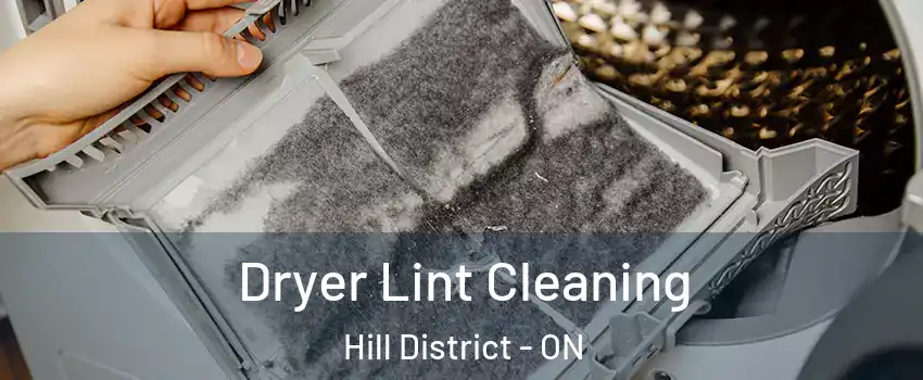  Dryer Lint Cleaning Hill District - ON