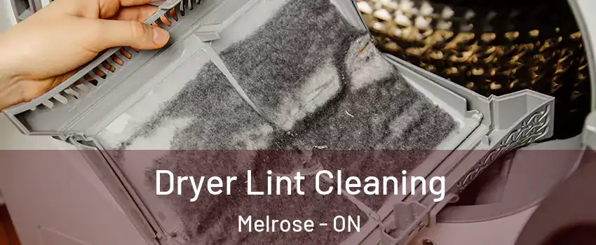  Dryer Lint Cleaning Melrose - ON
