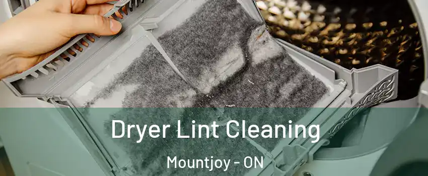  Dryer Lint Cleaning Mountjoy - ON
