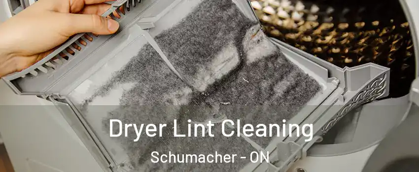  Dryer Lint Cleaning Schumacher - ON