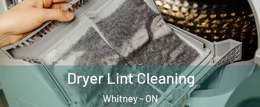  Dryer Lint Cleaning Whitney - ON