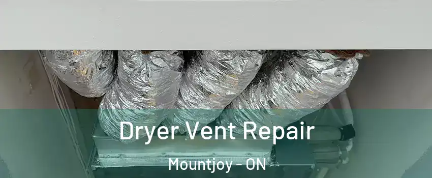  Dryer Vent Repair Mountjoy - ON