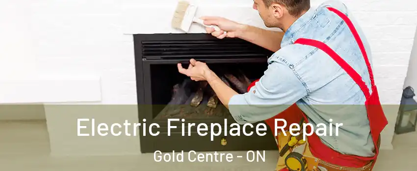  Electric Fireplace Repair Gold Centre - ON