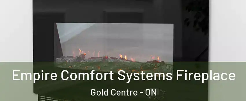  Empire Comfort Systems Fireplace Gold Centre - ON