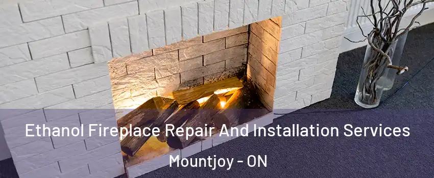  Ethanol Fireplace Repair And Installation Services Mountjoy - ON