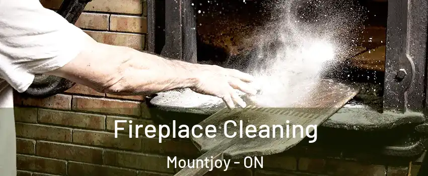  Fireplace Cleaning Mountjoy - ON