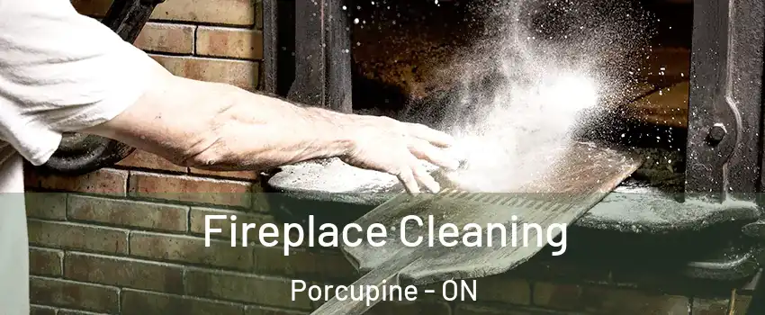  Fireplace Cleaning Porcupine - ON