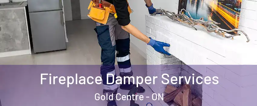  Fireplace Damper Services Gold Centre - ON