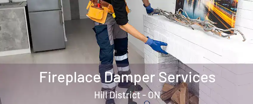  Fireplace Damper Services Hill District - ON