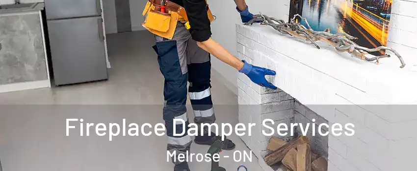  Fireplace Damper Services Melrose - ON