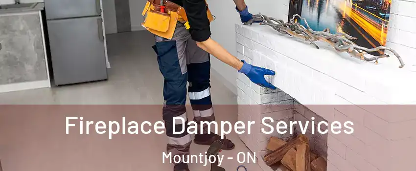  Fireplace Damper Services Mountjoy - ON